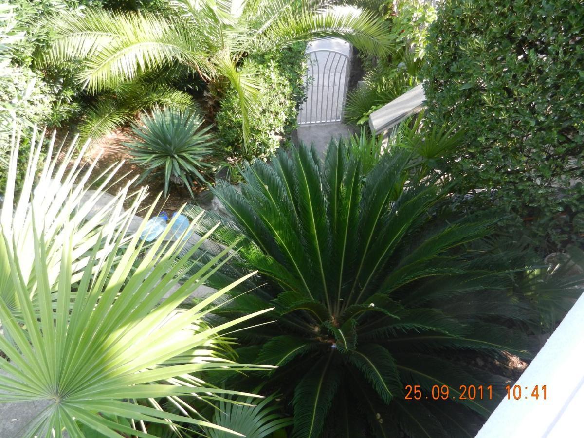 Apartments Sino More Tivat Bagian luar foto